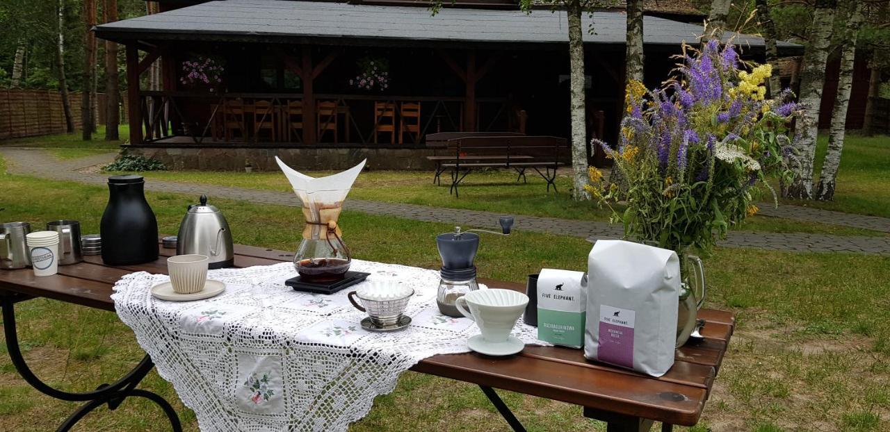 Maciejowka Borki 33ヴィラ エクステリア 写真
